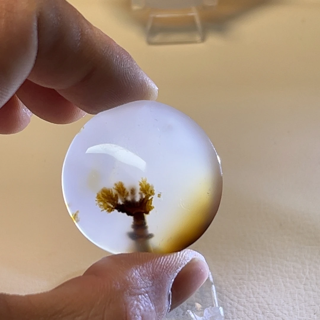 练***生玛瑙/玉髓未镶嵌颈饰