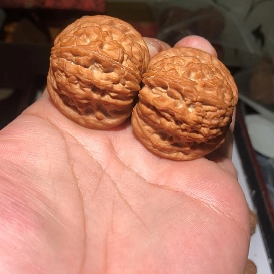 沙***练有机玻璃43磨盘狮子头