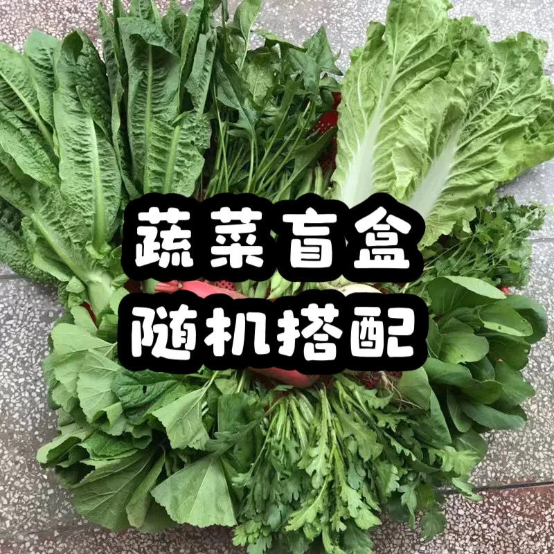 【蔬菜混搭能装多少装多少】3-5种农家时令蔬菜随机组合