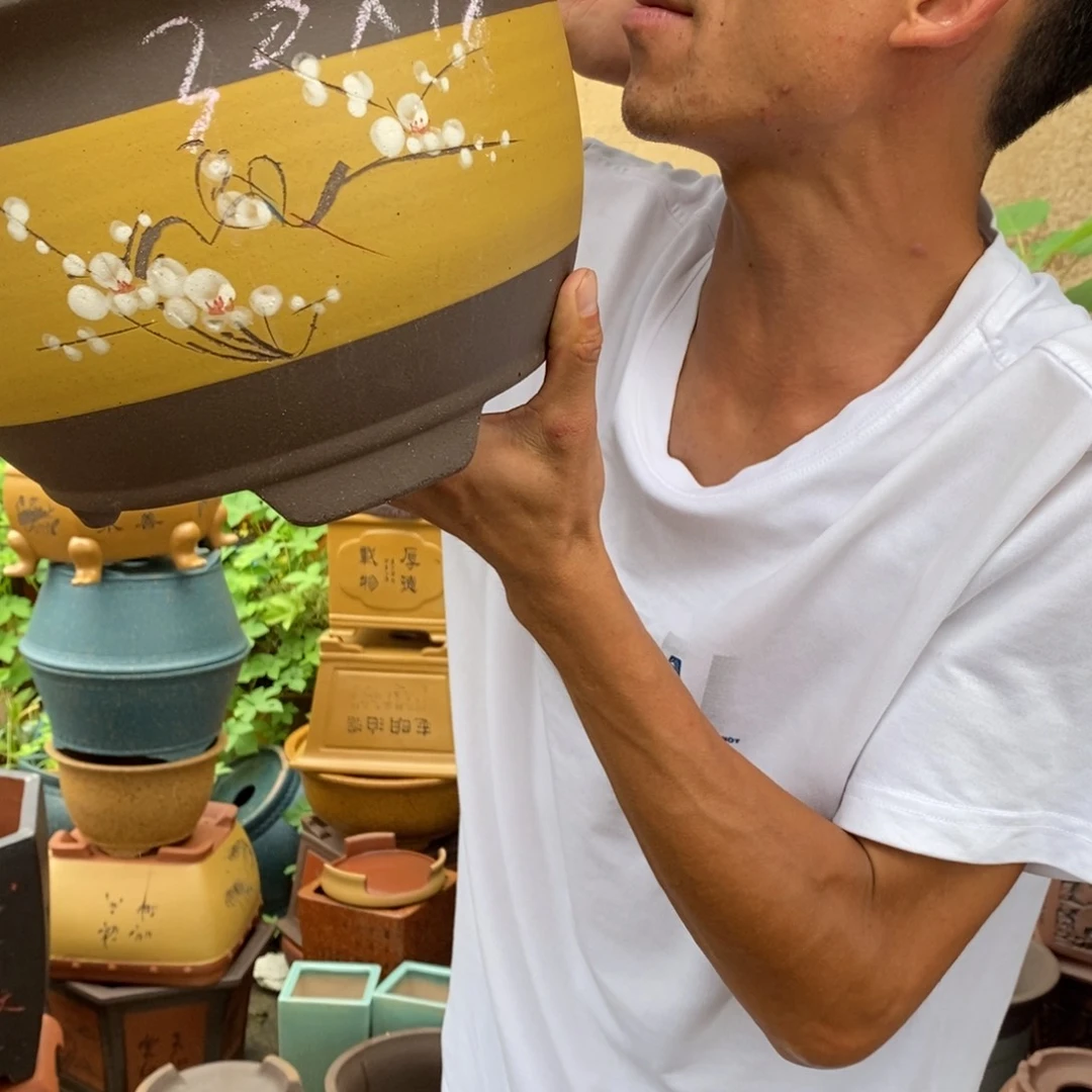 紫砂紫砂紫砂紫砂