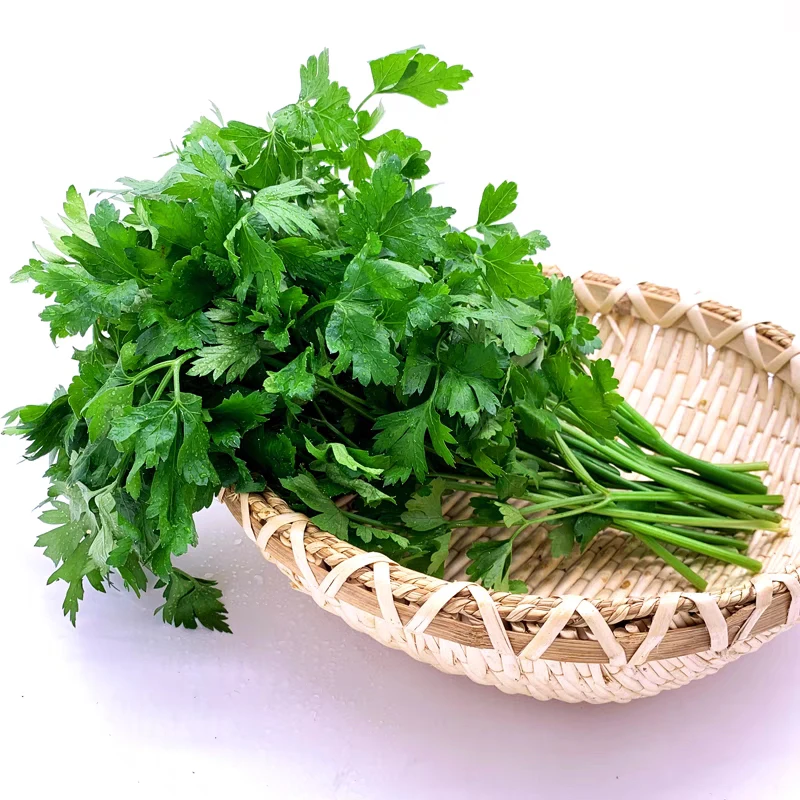 意大利香菜 50g/份