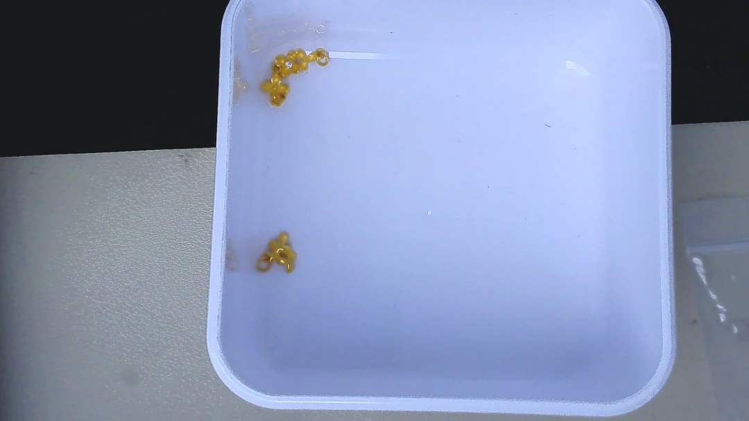 黄金足金小金 豆
