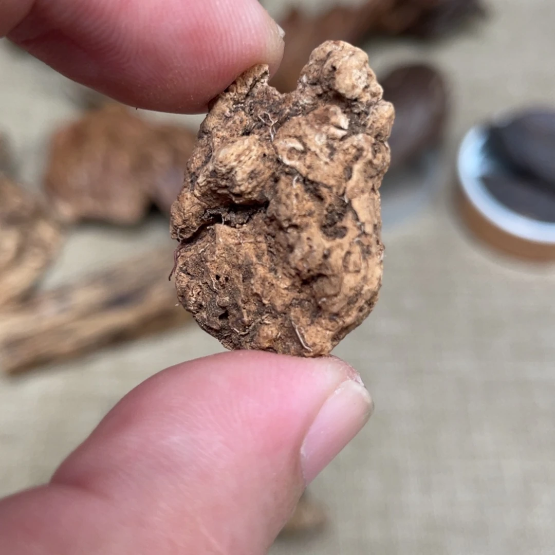 沉香兰卡红土虎斑