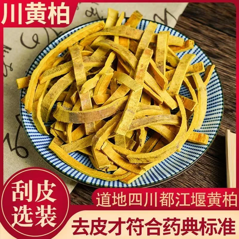 黄柏正宗四川黄柏新货黄柏片正品黄柏树皮片川黄柏关黄