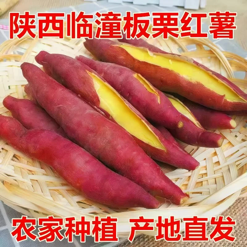 【质农】陕西板栗红薯新鲜现挖粉糯甘甜沙地番薯
