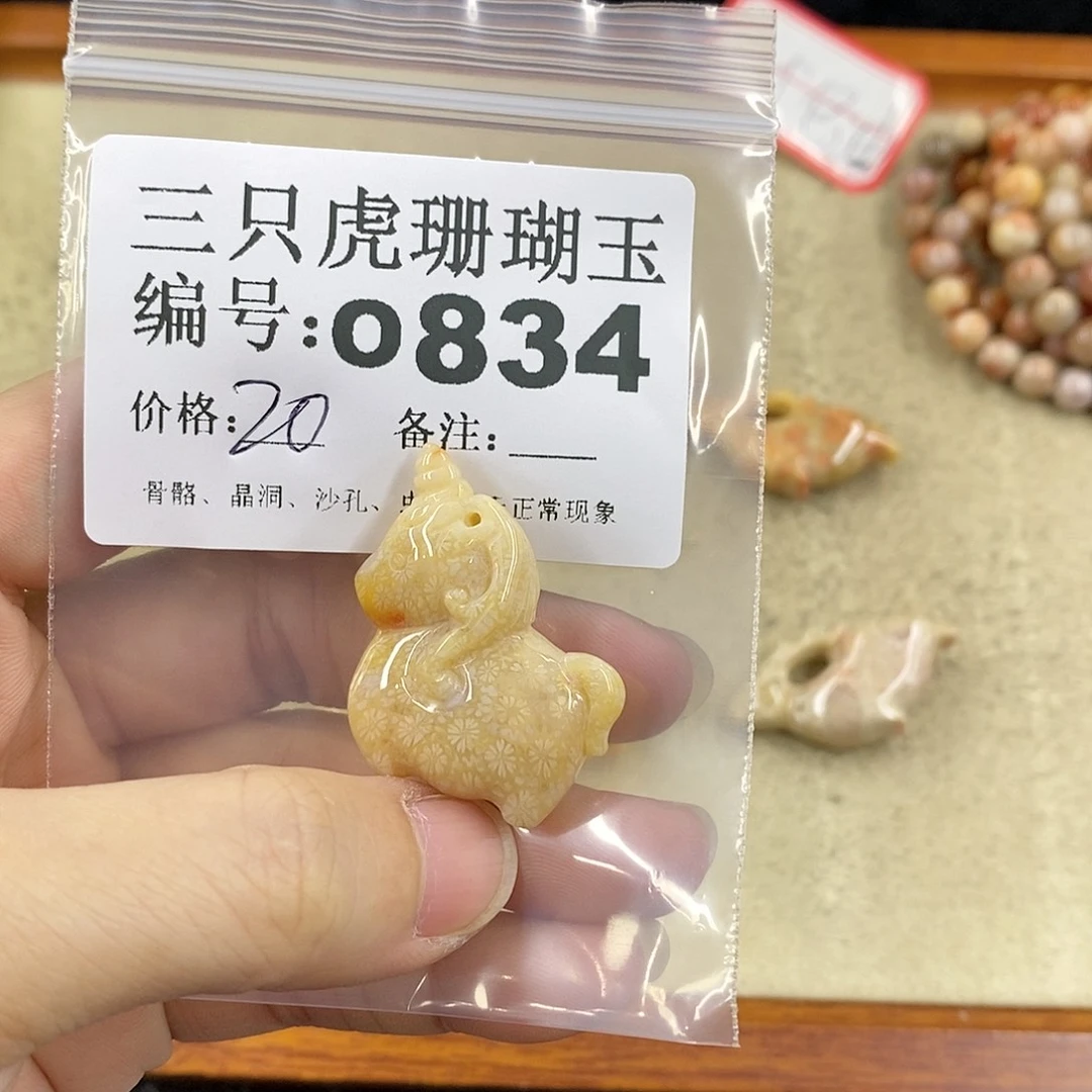 硅化珊瑚（珊瑚玉）1未镶嵌仇***?