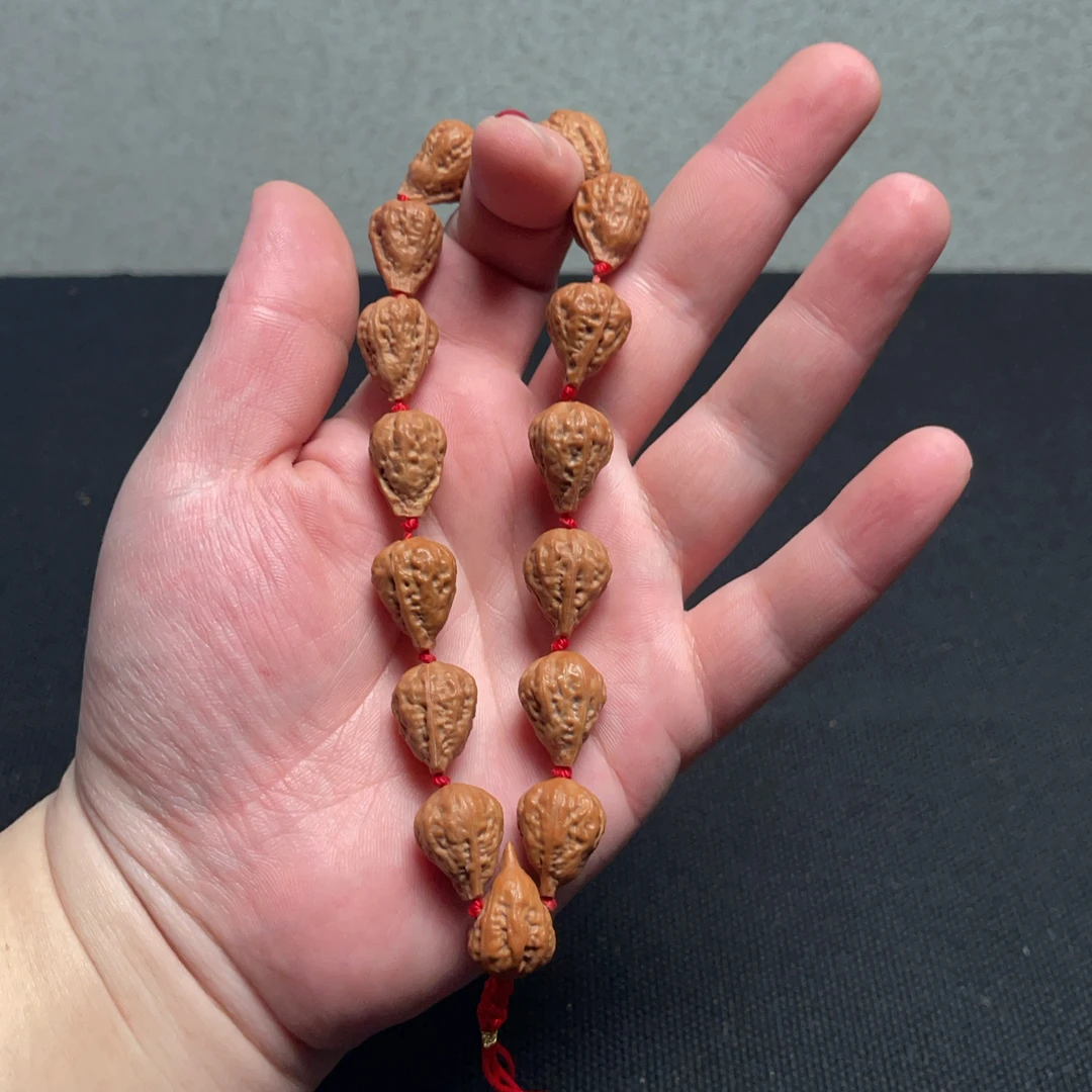 【14号】小鸟嘴秋子【异性籽】野籽少见精品15颗1.3尺寸