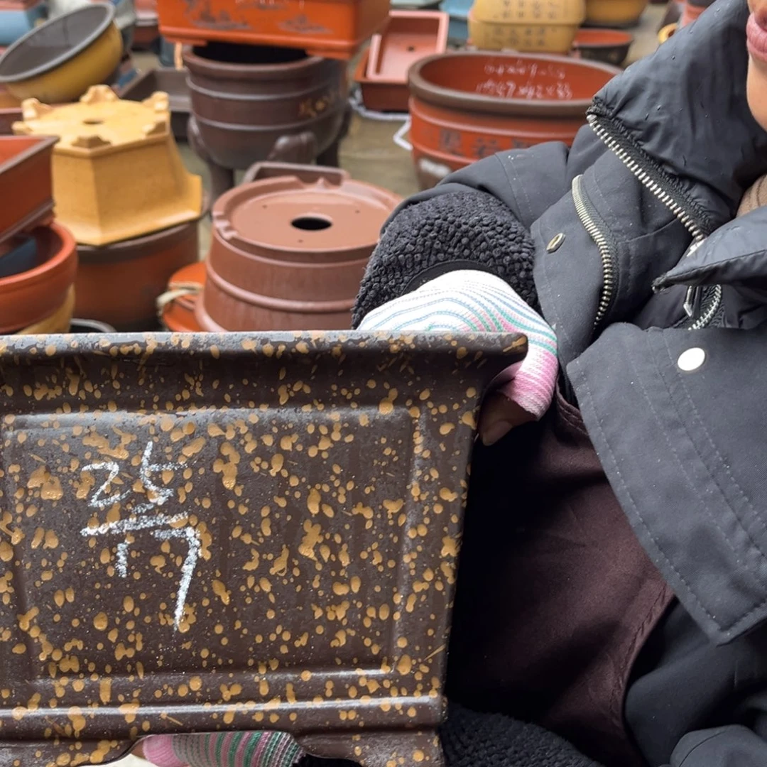 紫砂花盆盆景艺术