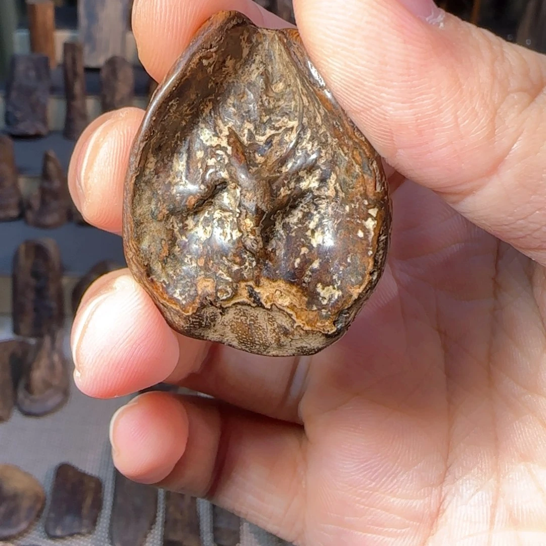 沉香沉香碎屑蓝*洋达拉干 沉香沉水5.2克