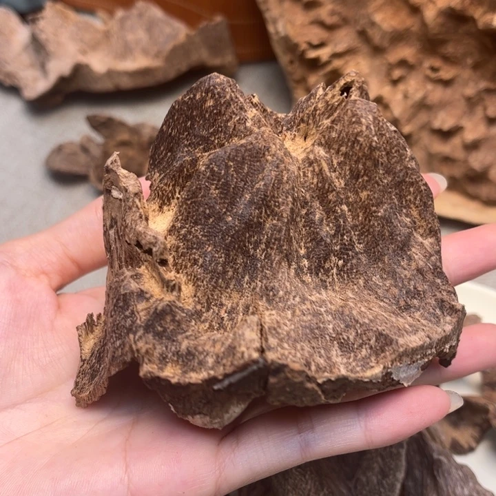 香榧木海南壳子料22克