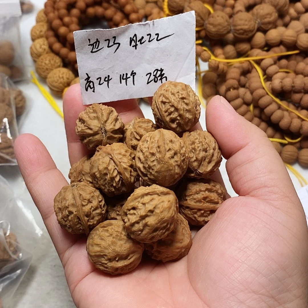 核桃手串/手链小龙脊手训