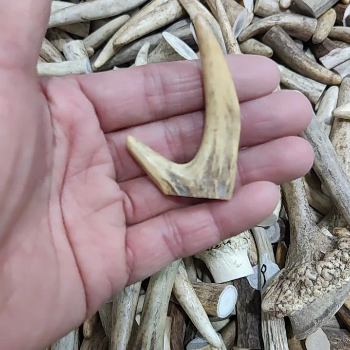 不锈钢鹿角尖鹿角尖