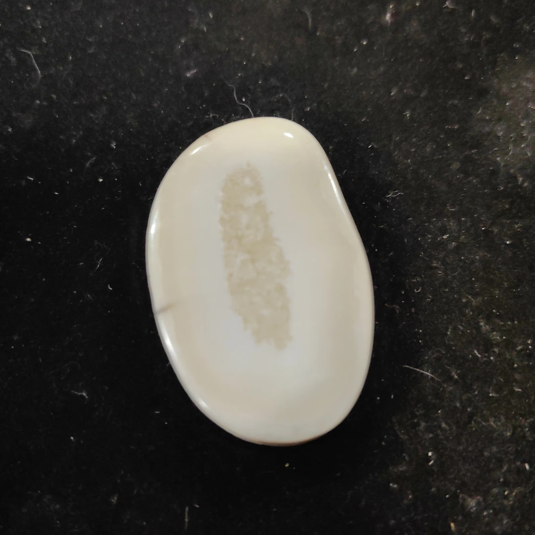 猛犸猛犸虬饼子WW106