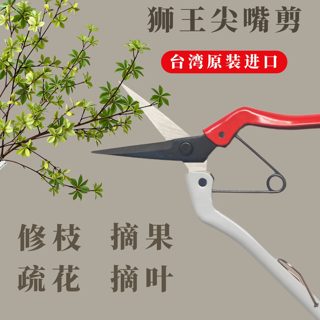 狮王尖嘴剪 日式芽枝剪多功能园艺果蔬采摘剪刀