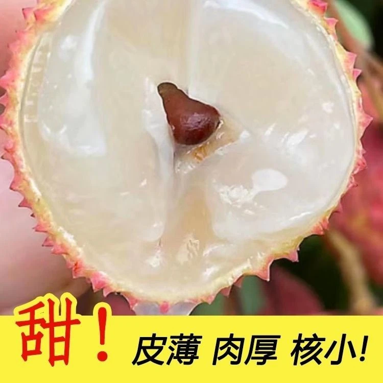 广东桂味荔枝新鲜应季水果老树现摘高山桂味荔枝应季水果新鲜水果