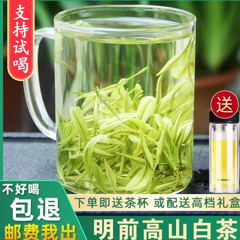 2025年新茶叶正宗安吉白茶高山绿茶明前特级白茶250g