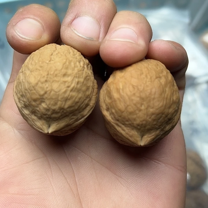 文玩核桃把件1号金蟒