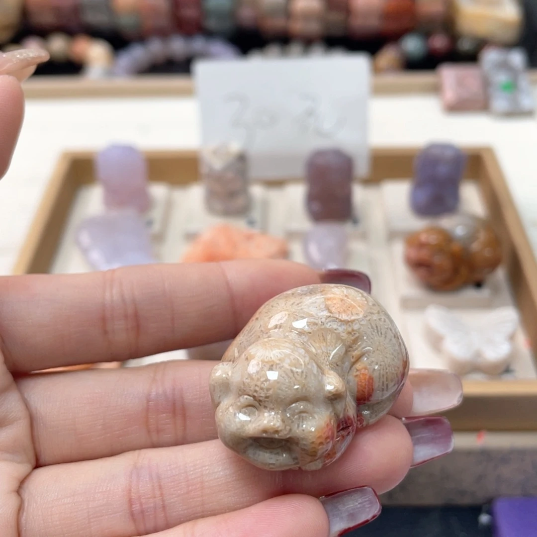 硅化珊瑚（珊瑚玉）手链未镶嵌じ****~391