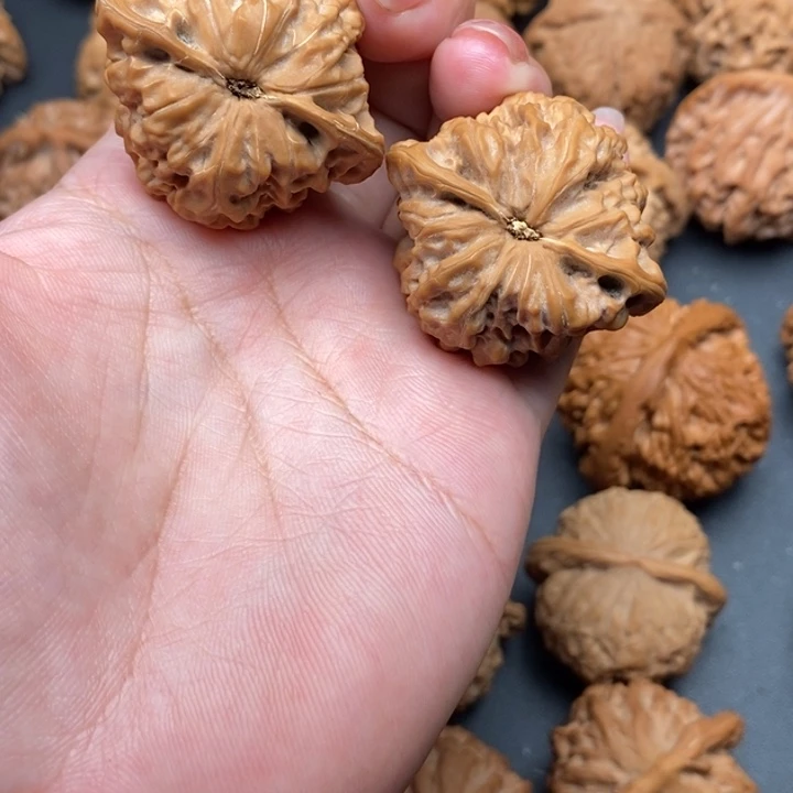 文玩核桃吊坠蜡皮蝉38