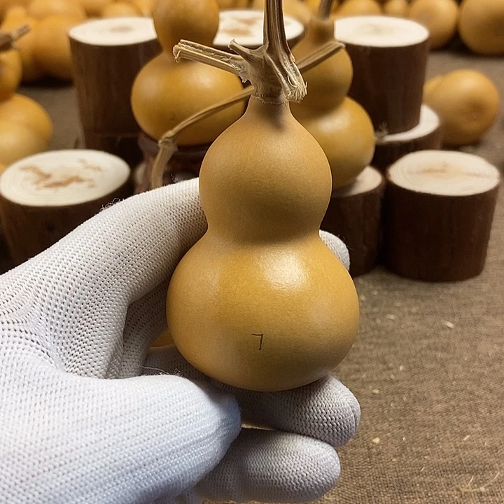 文玩葫芦 完美主义者 慎拍7