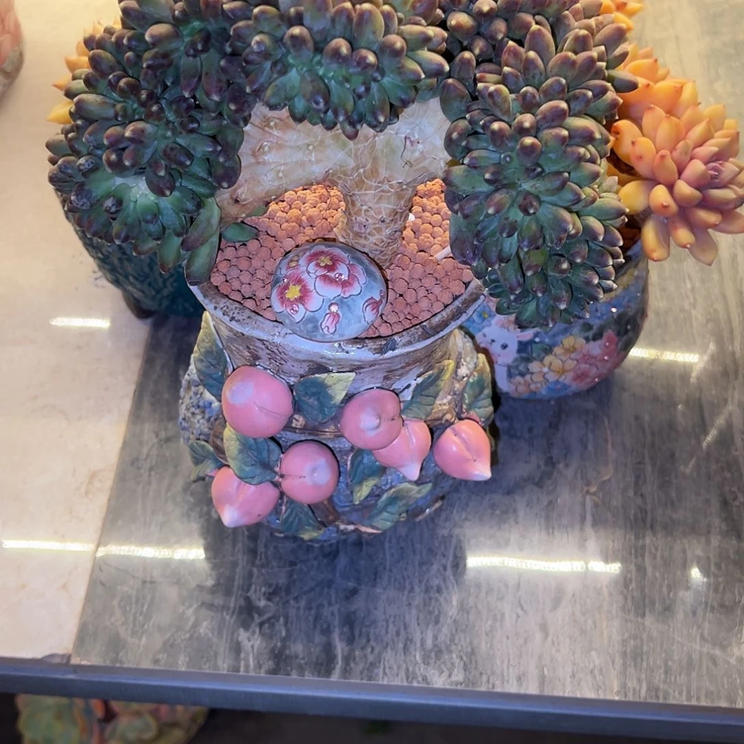 千代田朵朵缀千代田