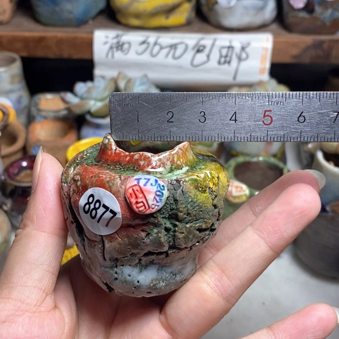 拍3送一个小礼物
