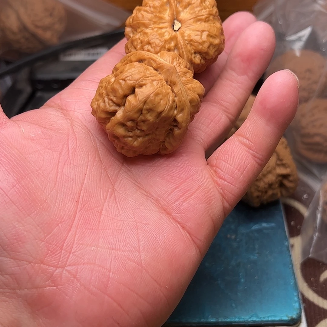 安***房文玩核桃老树蛤蟆