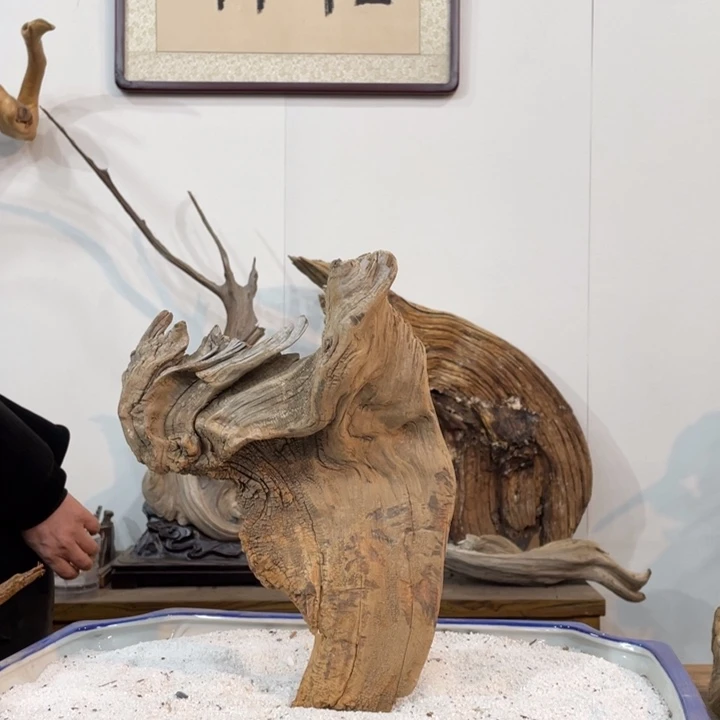 从**来我们都是好孩子呀