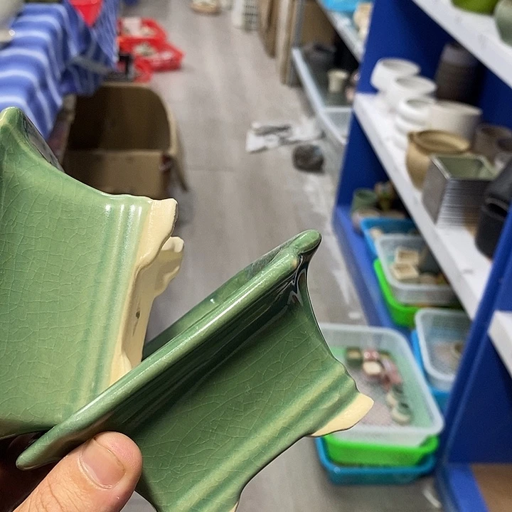 花盆抢购清货马上开始