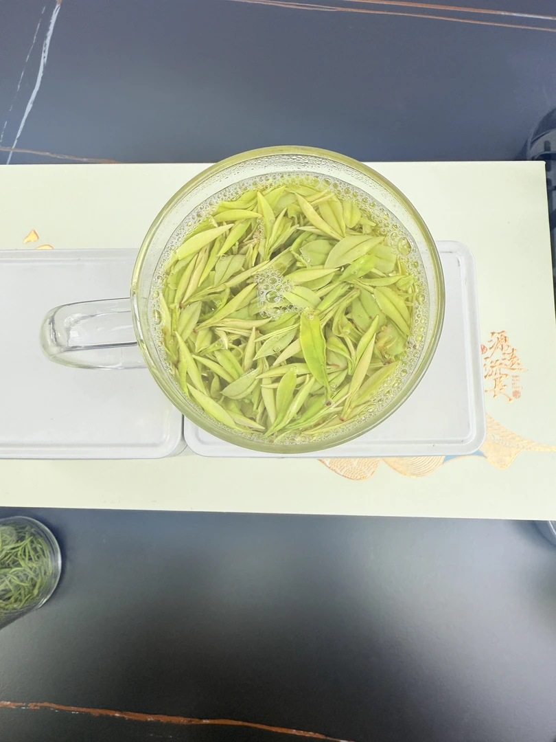 雪芽奶白【高山奶香H6】安吉原产地高山茶头春头采安吉奶香白叶二号