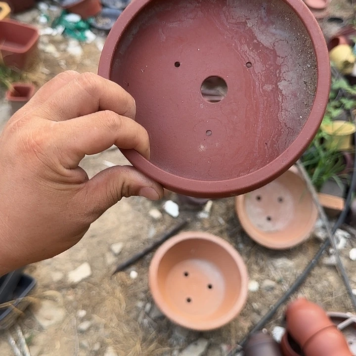 是一个不知名作家与著名导演在