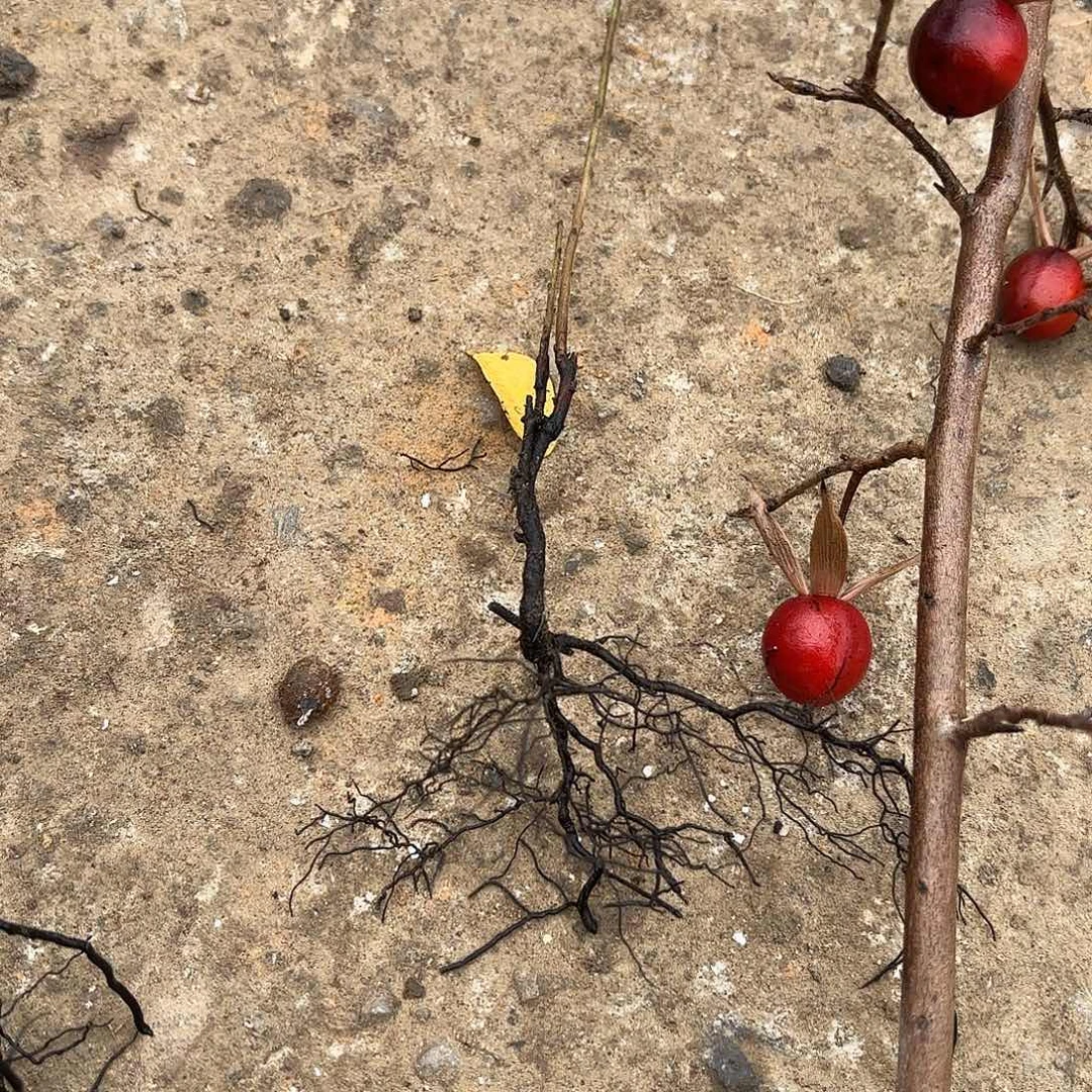 福***的哈哈哈哈哈哈哈哈