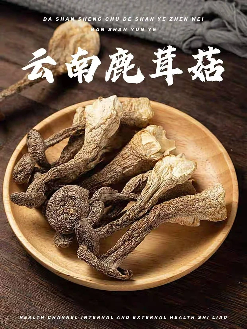 云南鹿茸菇干货可凉拌炒肉煲汤美食