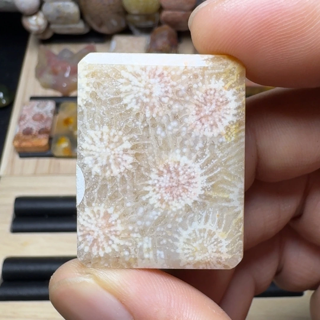 硅化玉未镶嵌纯天然色有机玉石保真色