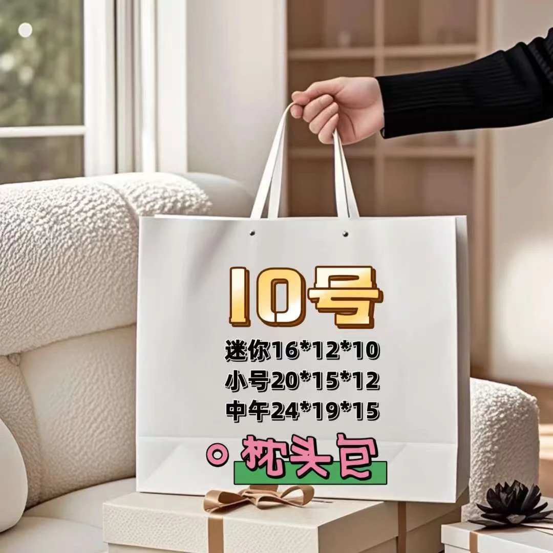 10号（1033）经典气质百搭枕头包单肩包