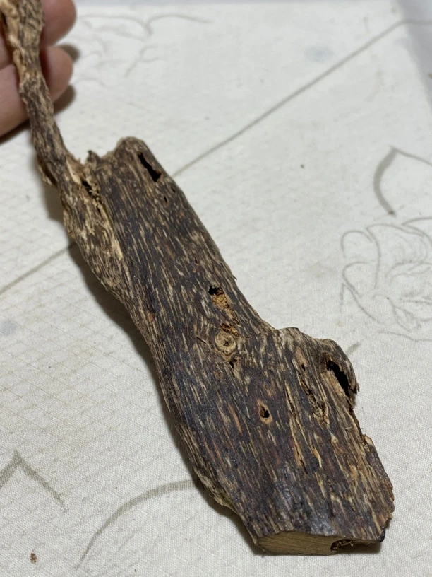 沉香老虫漏10.19克，天然野产香，清香清甜。