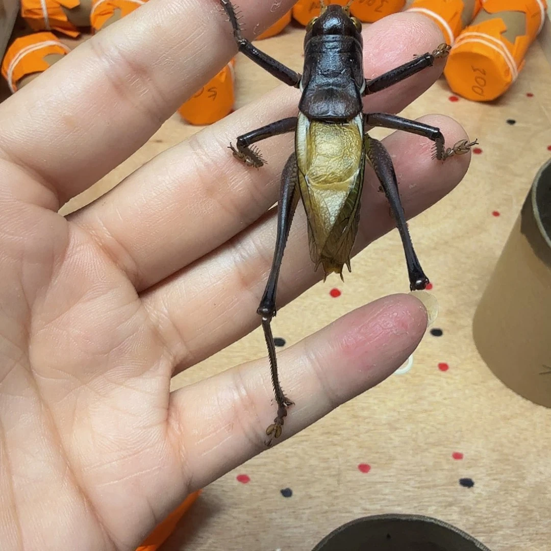 知***己哈哈哈哈哈哈哈哈哈哈哈哈哈