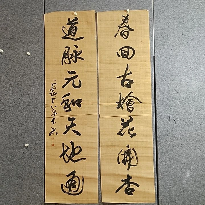 书法宋秉民。六尺全开。春回古桧花开杏