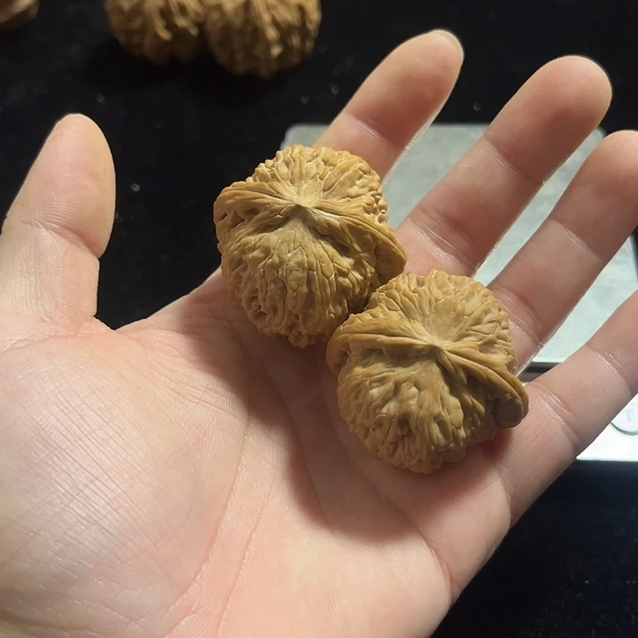 把件文玩核桃40左右对歪白狮子，微泛油，编号011