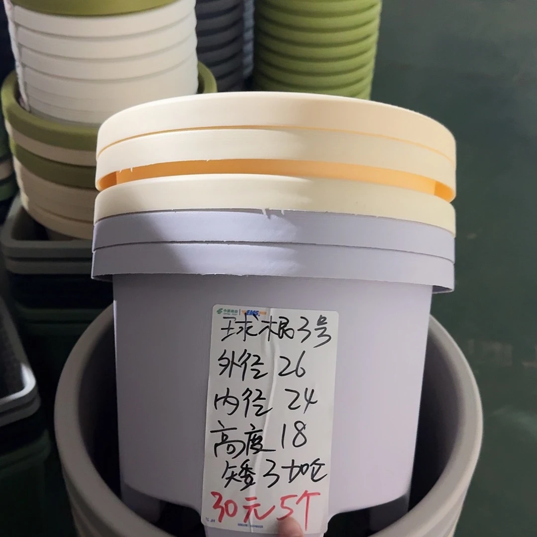 球根3#无拖灰白5个