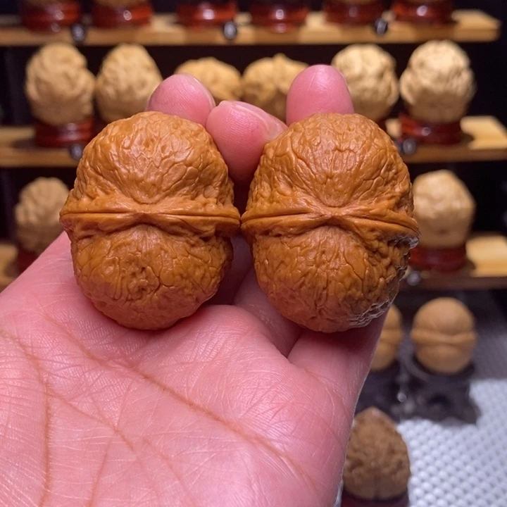 木质类云铁保山化石21号