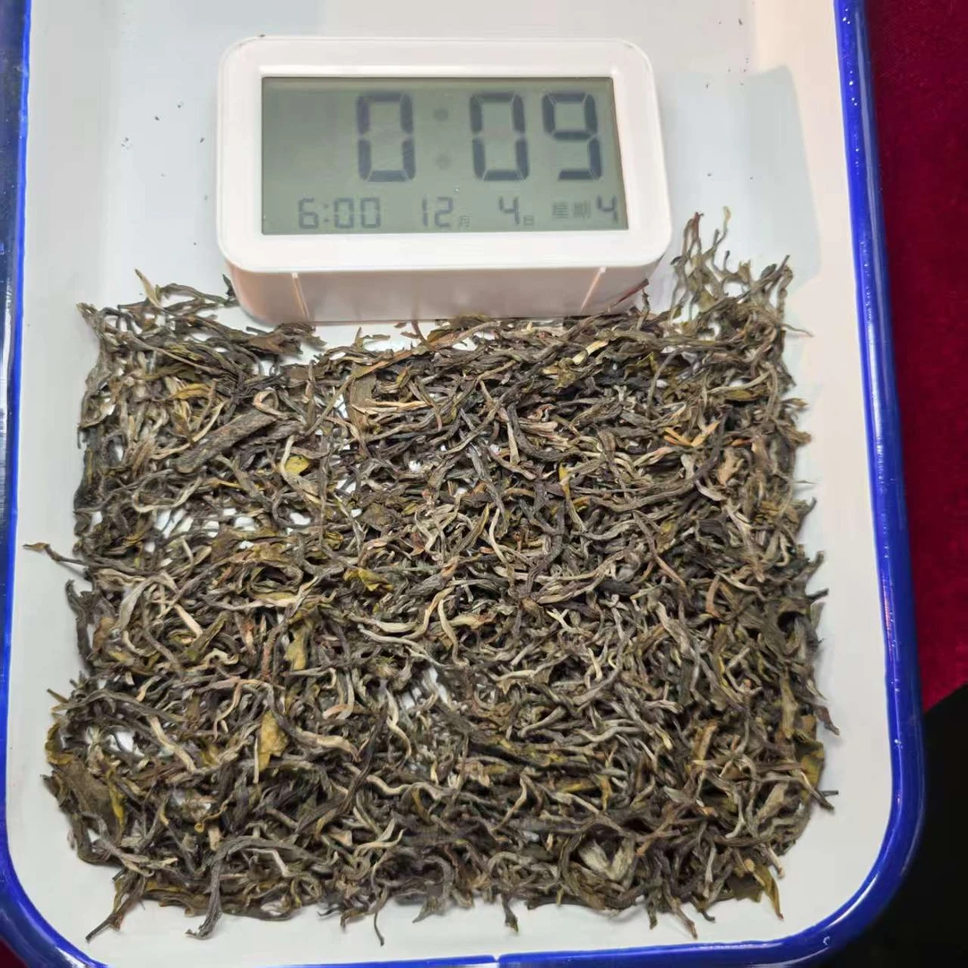【滇运古茶】2024年倚邦鸡嘴壳生散茶（12月3号）Z