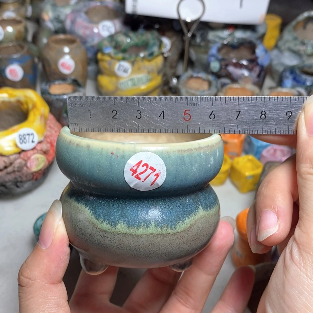 拍5送一个小礼物
