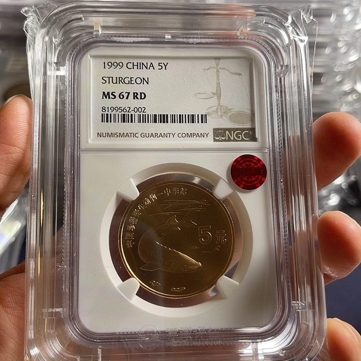 其他普通金属绿***花中华鲟003