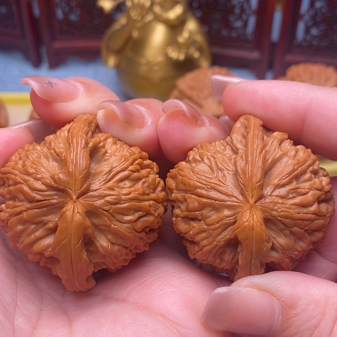 把件文玩核桃44精品毕业白狮子