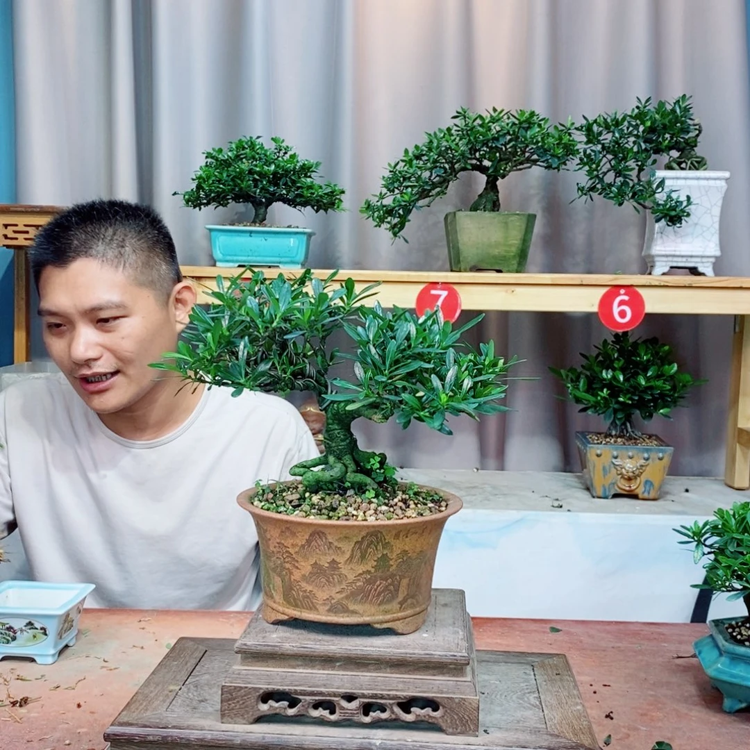 栀子花开了花开花了