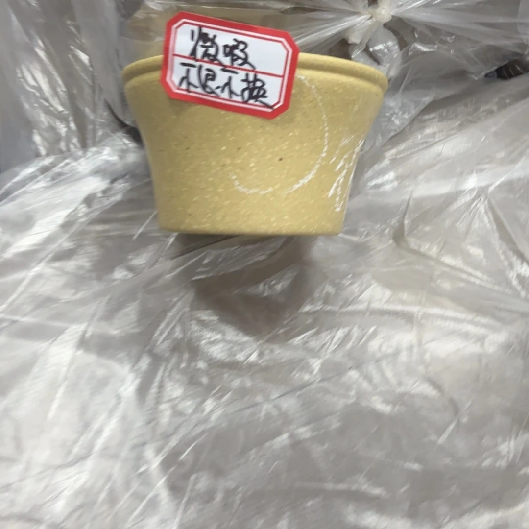茶壶紫砂黄龙山原矿梨皮