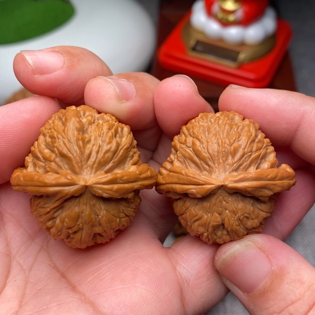 把件文玩核桃36.5全品毕业白狮子