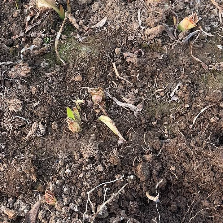 爱***年贵妇三➕包对版有标2530