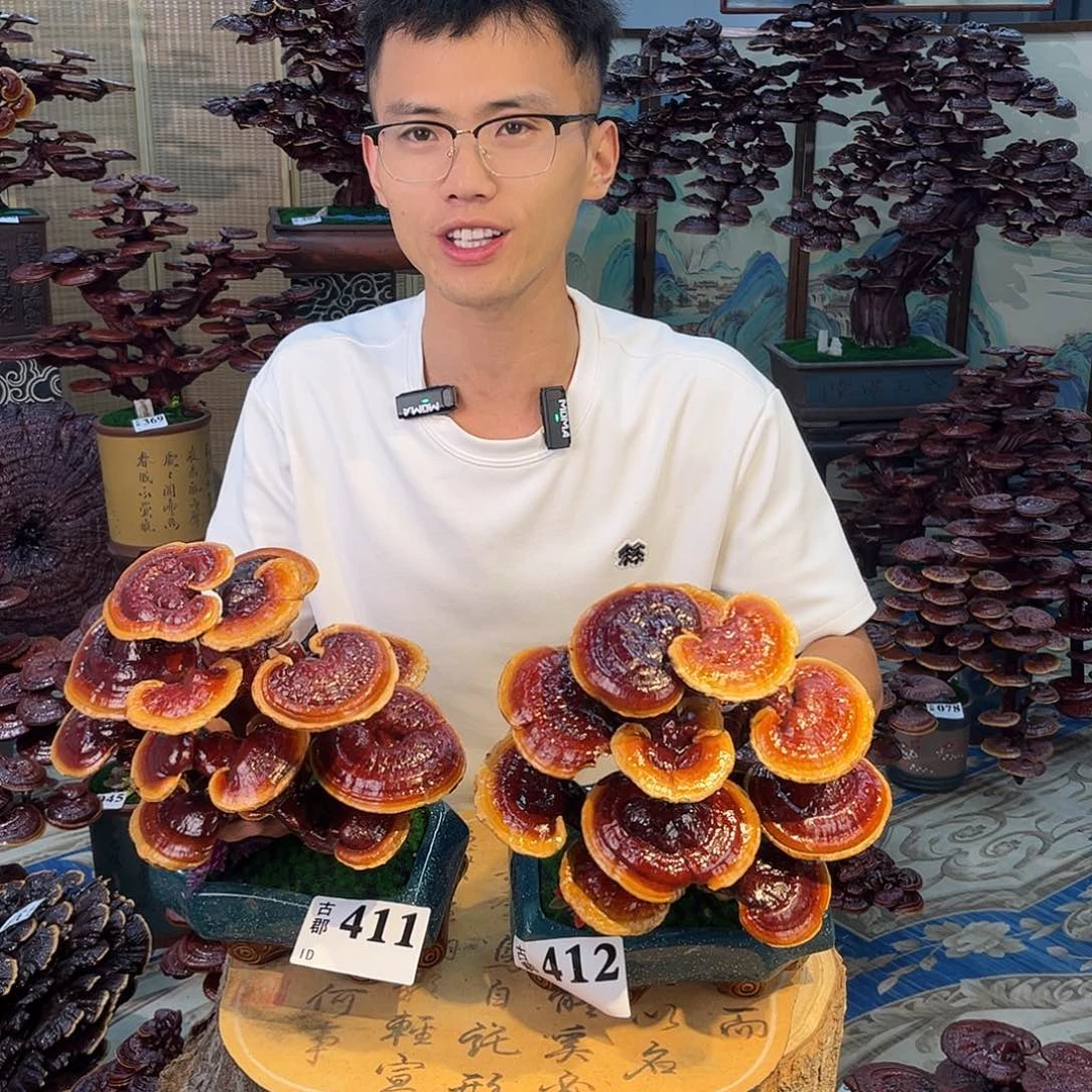 无花朵88888888888